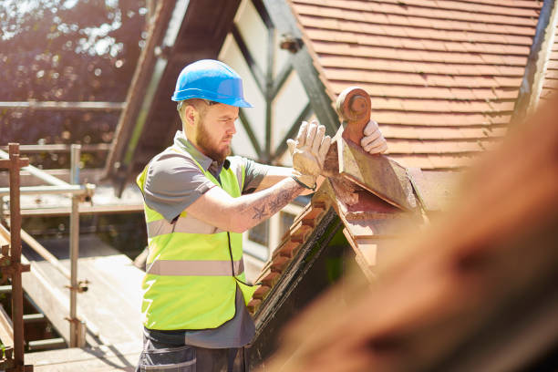 Best Storm Damage Roof Repair  in Long Grove, IA