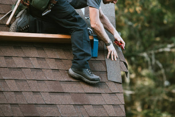 Roof Waterproofing Services in Long Grove, IA